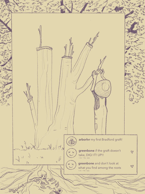 southern gothic 4 for Mergoat Magazine