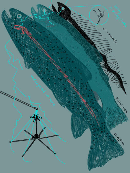 southern gothic 2 for Mergoat Magazine