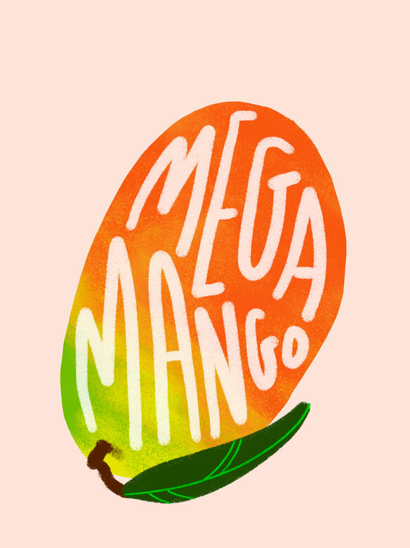 Mega Mango band