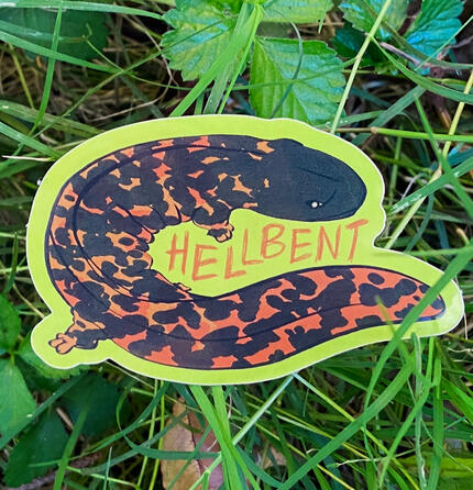 hellbender sticker - Hurrican Helene relief